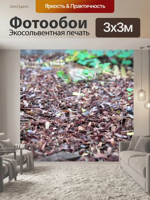 Фотообои Этажи леса