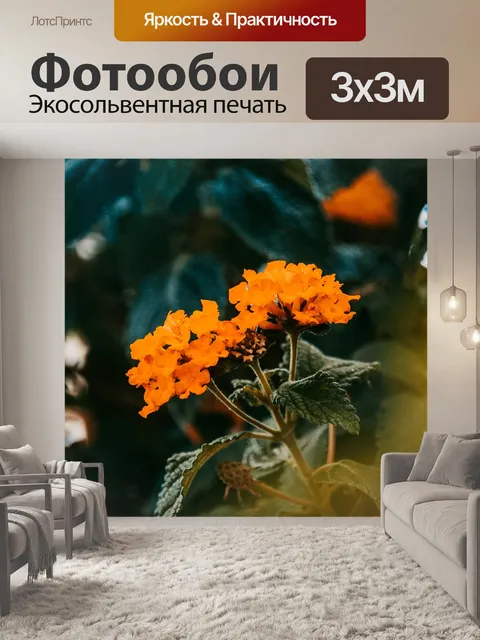 Фотообои Цветок