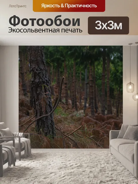 Фотообои Арболес