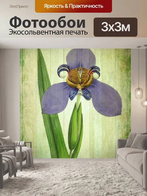 Фотообои Винтажная иллюстрация цветочного искусст