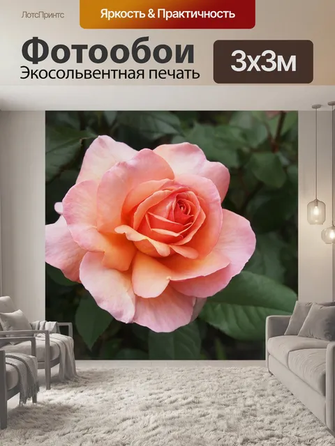 Фотообои Роза
