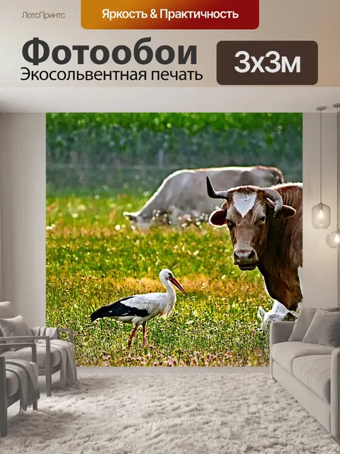 Фотообои Корова