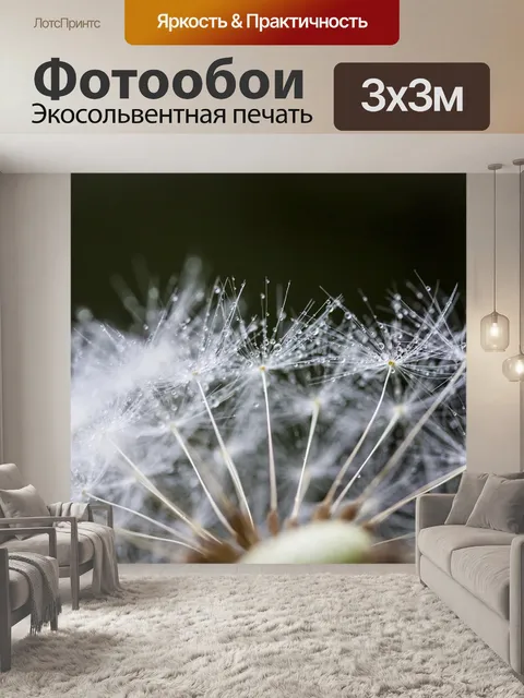 Фотообои Одуванчик