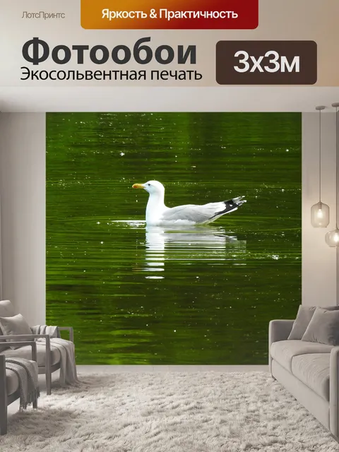Фотообои Чайка