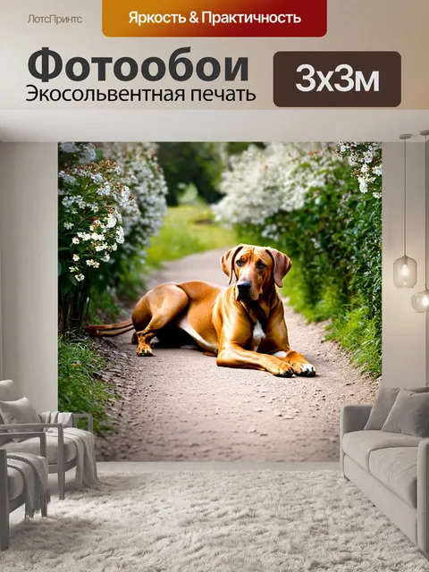 Фотообои родезийский риджбек, лежащий на стуже узкой тропинки, окружённой цветущими растениями