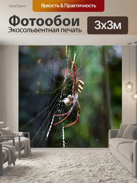 Фотообои Паук