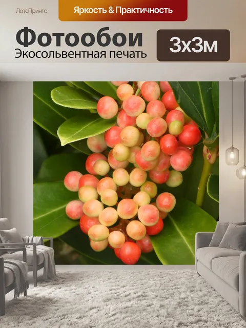 Фотообои Ягоды