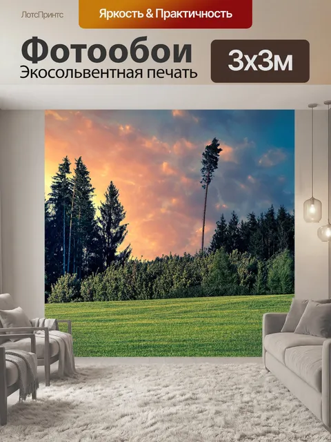 Фотообои Лес