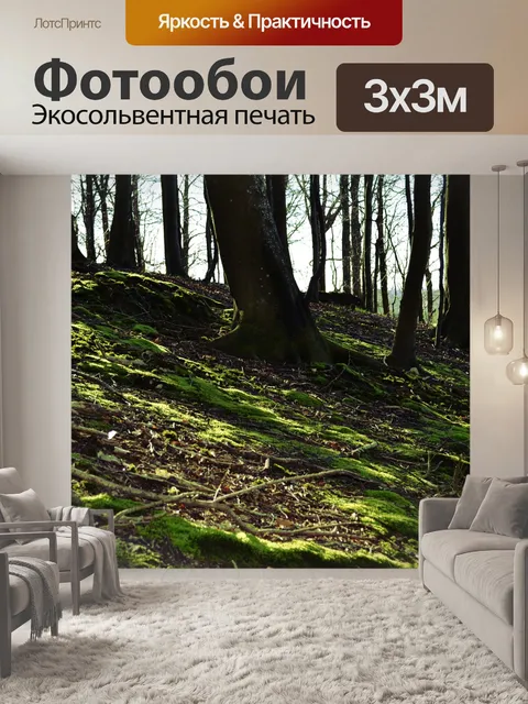 Фотообои Лес