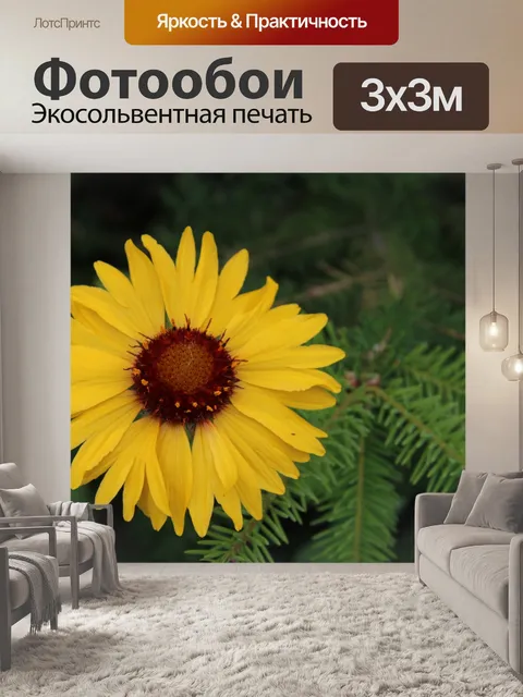 Фотообои Довольно желтый цветок