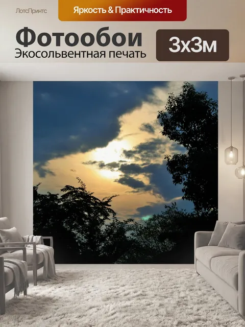 Фотообои закат сцены с силуэты деревьев