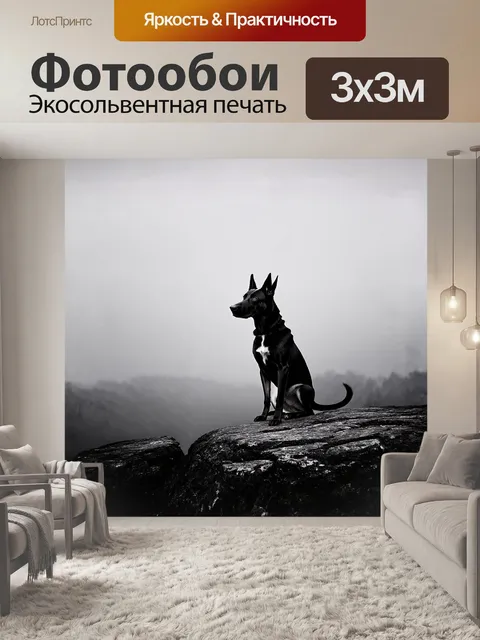Фотообои бельгийская овчарка малинуа сидит на каменном выступе