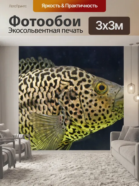 Фотообои Рыбы