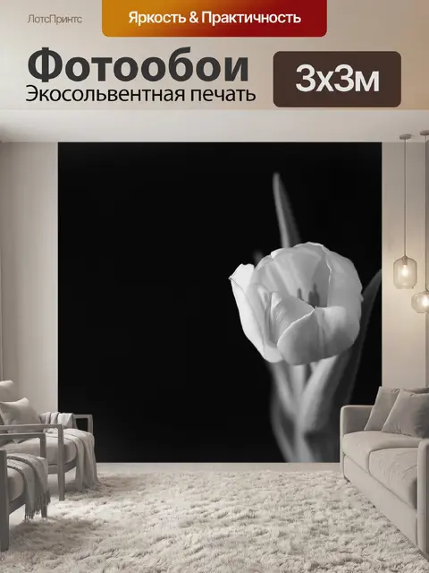 Фотообои Тюльпан