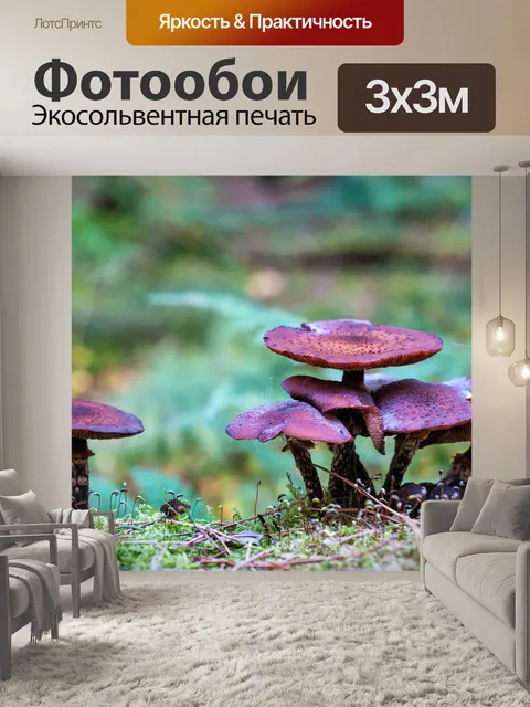 Фотообои Лес