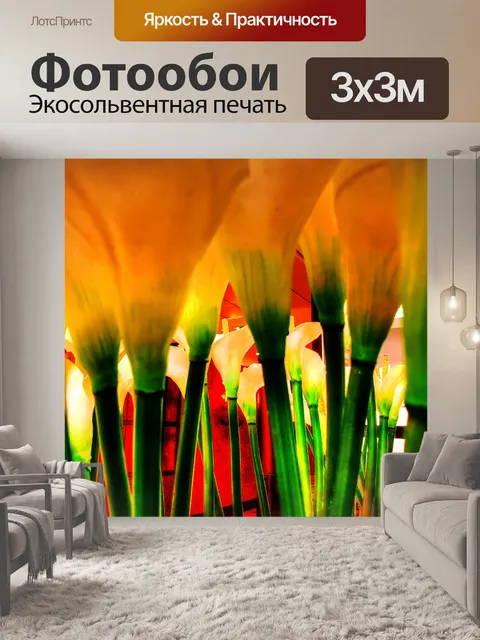 Фотообои Абстрактные Цветы Кали Лили