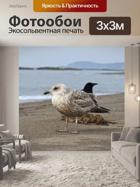 Фотообои Животное