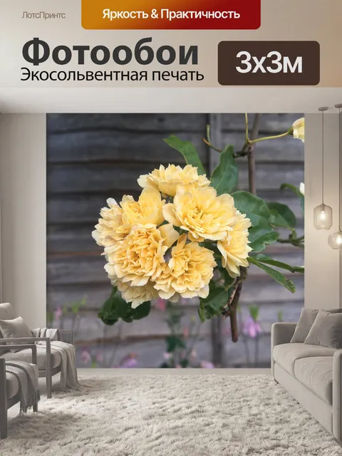 Фотообои Цветы