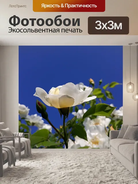 Фотообои Розы