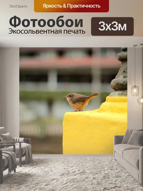 Фотообои Птица
