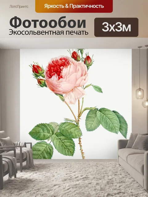 Фотообои Цветочная роза винтажное искусство