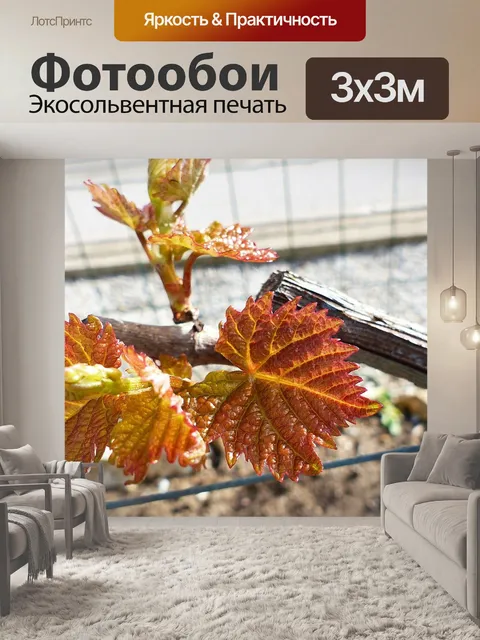 Фотообои Лист