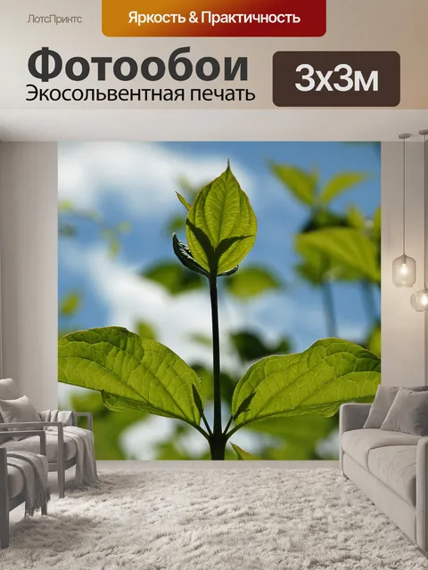 Фотообои Ветвь