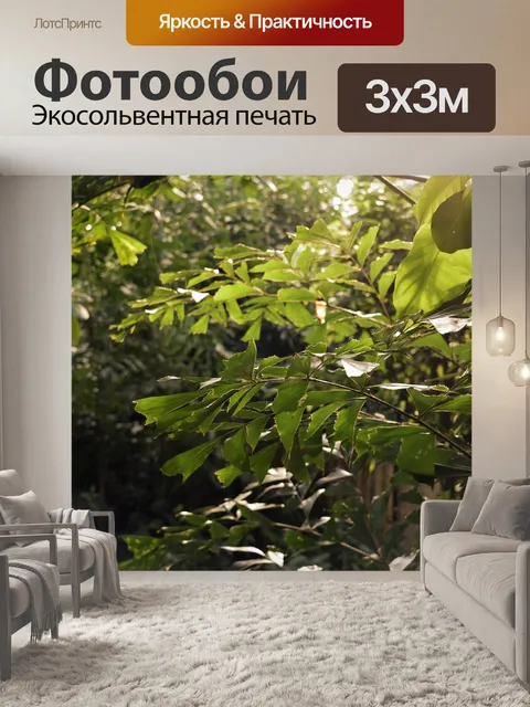 Фотообои Джунгли