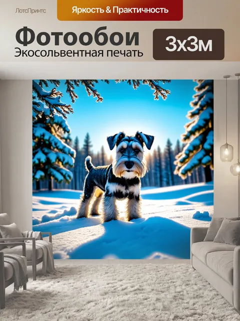 Фотообои цвергшнауцер, покрытый снежными сугробами, исследует зимний лес