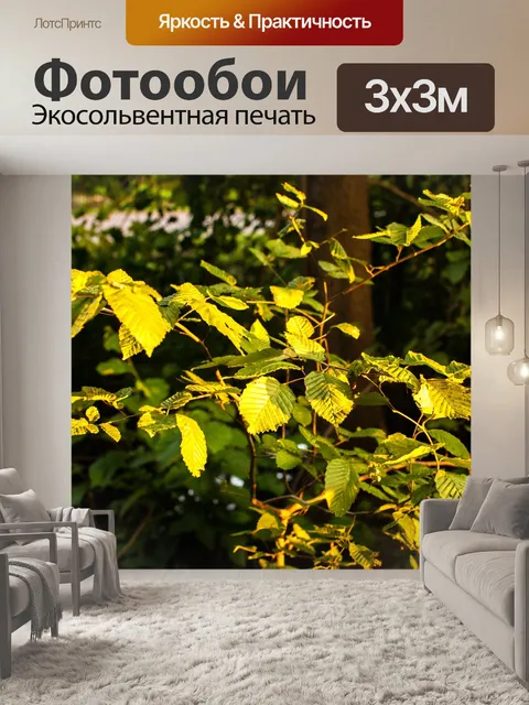 Фотообои Листья