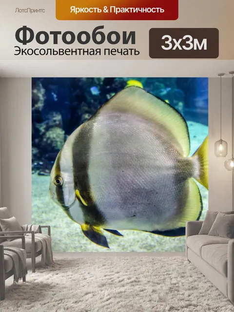 Фотообои Рыба