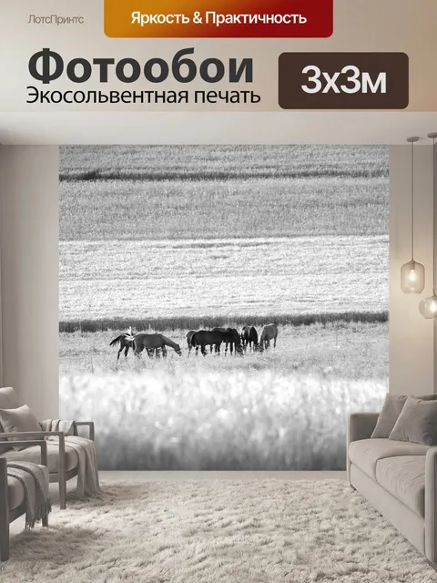 Фотообои Лошади