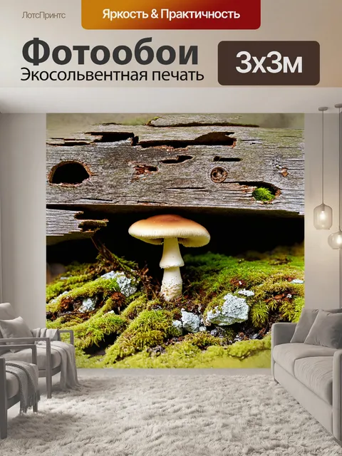 Фотообои на переднем плане изображения лежит разрушенная деревянная планка