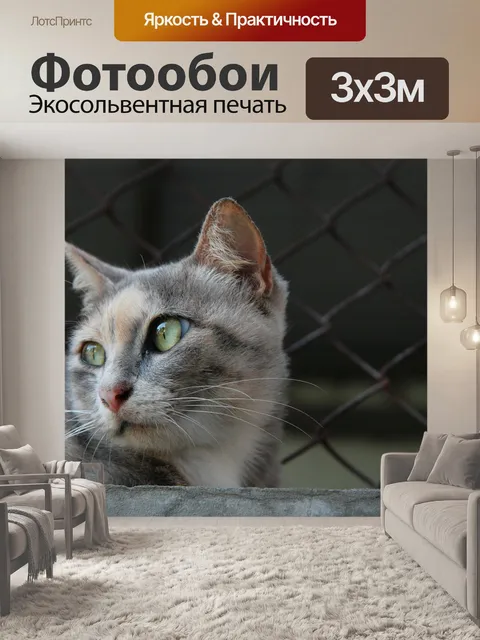 Фотообои Милый