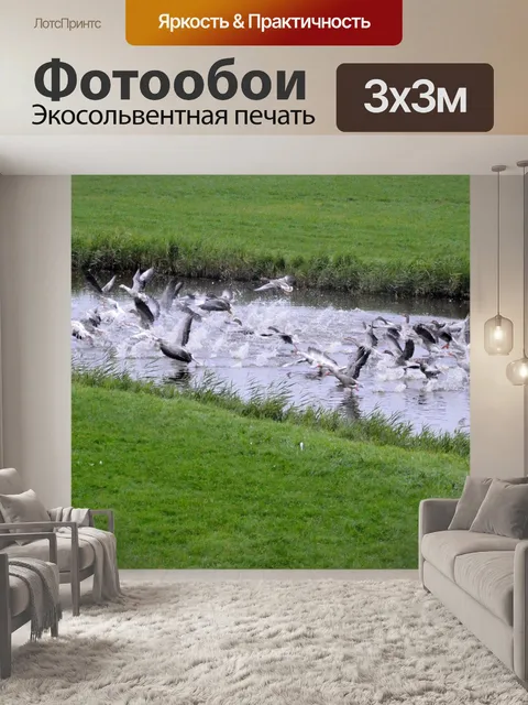 Фотообои Летящие гуси