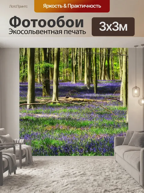 Фотообои Лес