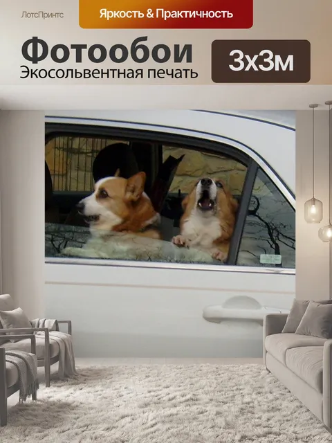 Фотообои Две собаки