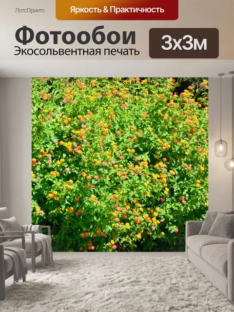 Фотообои Лантана цветок фон
