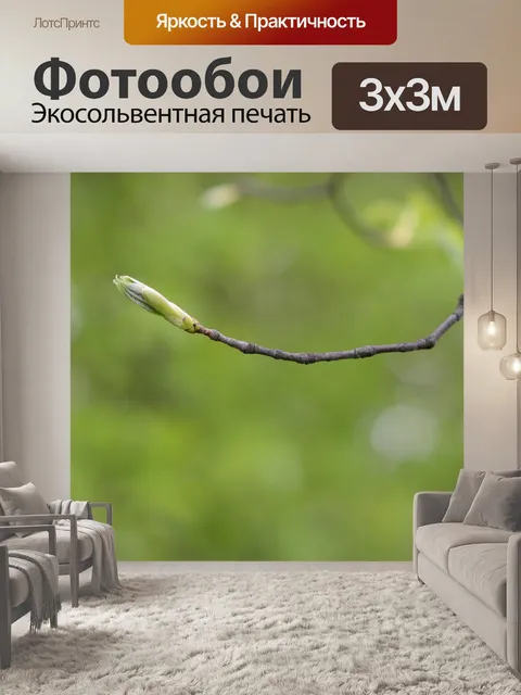 Фотообои Бутон