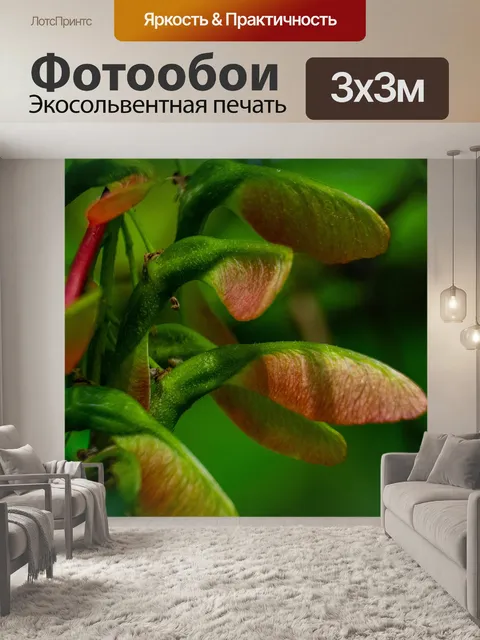 Фотообои Фрукты