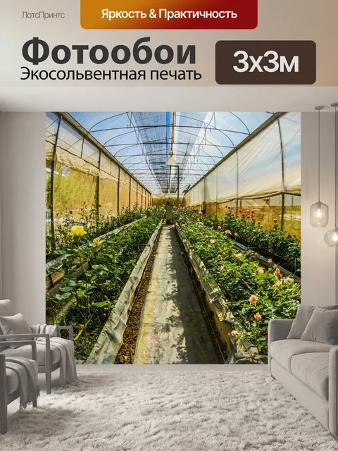 Фотообои Дои Анг Кханг, Чианг Май, Таиланд
