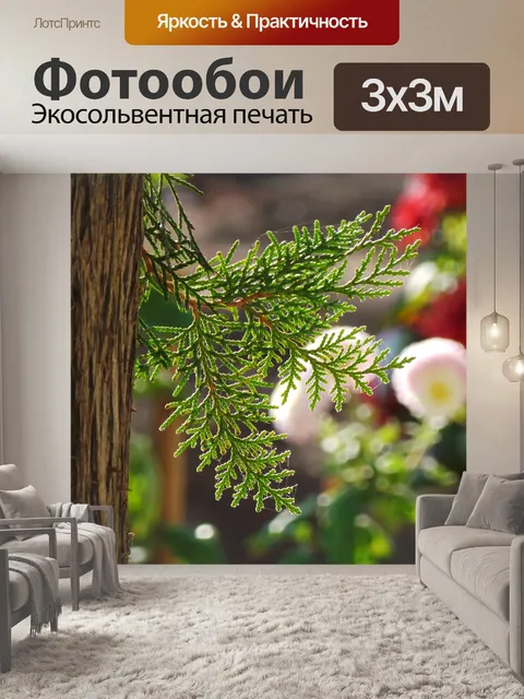 Фотообои Дерево