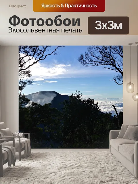 Фотообои Силуэт