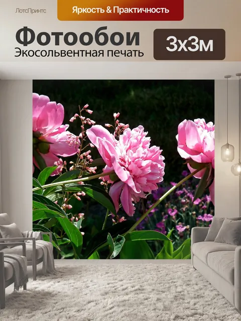 Фотообои Пионы