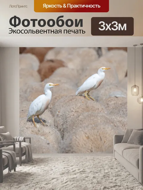 Фотообои Птица