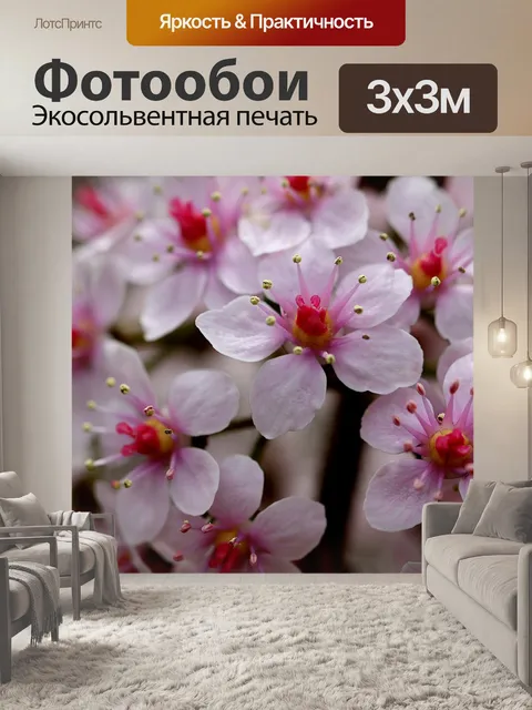 Фотообои Цветы