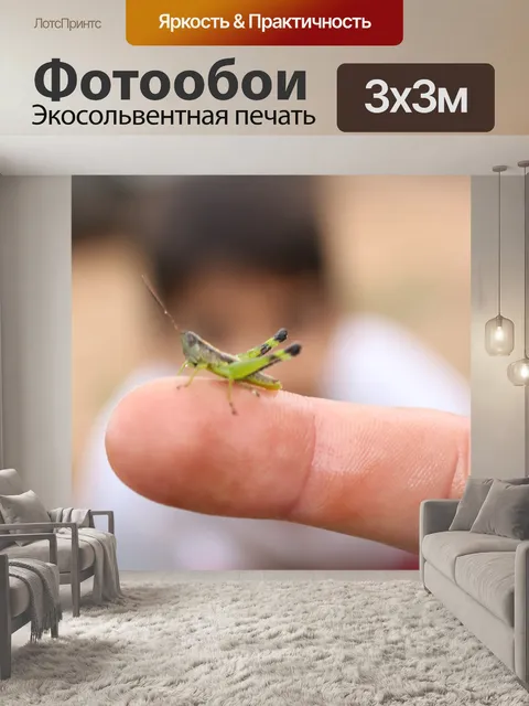 Фотообои Гриб