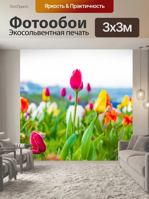 Фотообои Тюльпаны