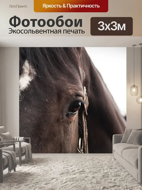 Фотообои Лошадь
