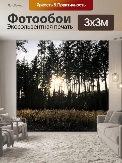 Фотообои Лес